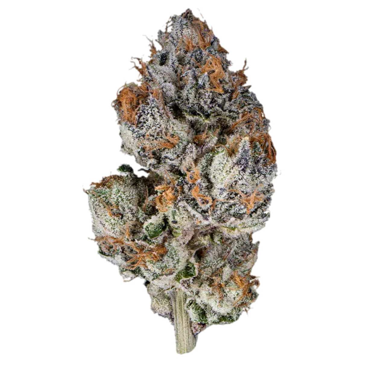 Close-up of a cannabis bud with frosty trichomes on a white background