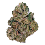 Close-up of a cannabis bud on a white background