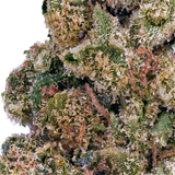 Close-up of cannabis buds with a white background